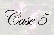 case5