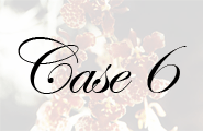 case6