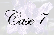 case7